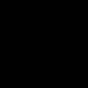 Meet your Posher, Bianca